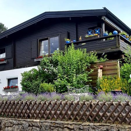 Harzer Bergblick all inkl Bad Lauterberg Zewnętrze zdjęcie