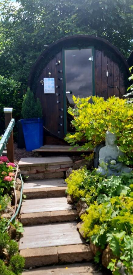 Harzer Bergblick all inkl Bad Lauterberg Zewnętrze zdjęcie